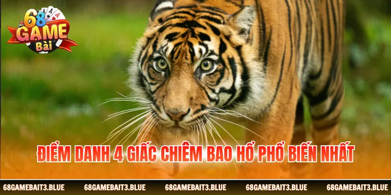 Điểm danh 4 giấc chiêm bao hổ phổ biến nhất